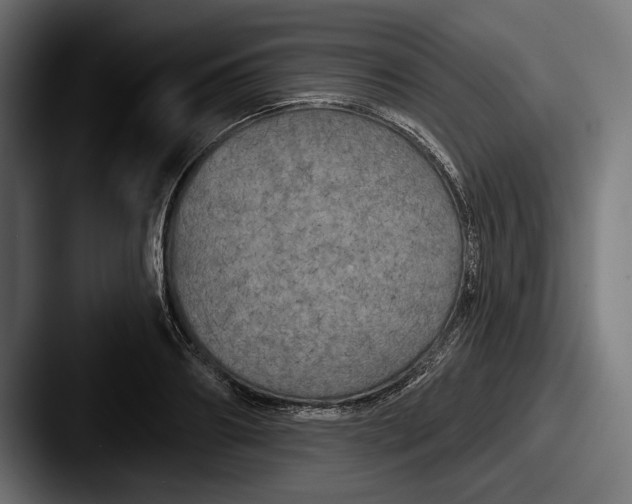 X0000087510890200705180952
