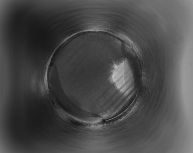 X0000087510892200705180952