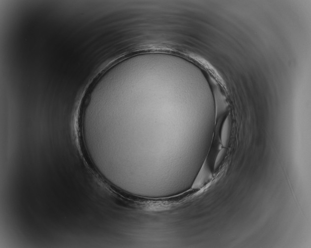 X0000087510893200705180952