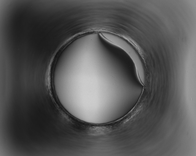 X0000087510894200705180952
