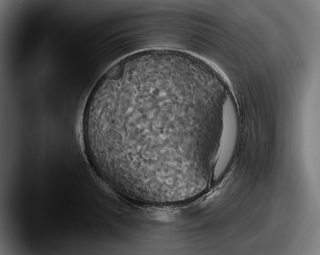 X0000087510895200705180952