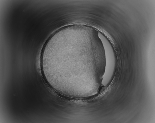 X0000087510896200705180952