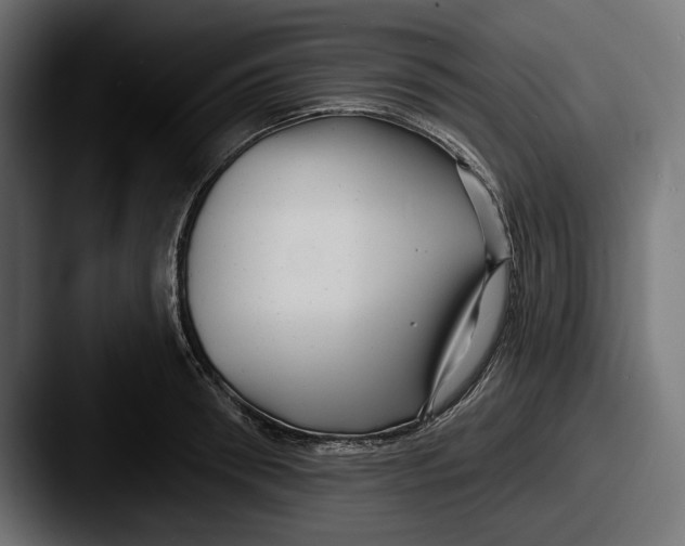 X0000087510898200705180952