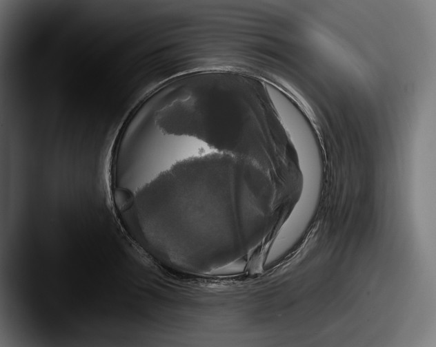 X0000087510899200705180952