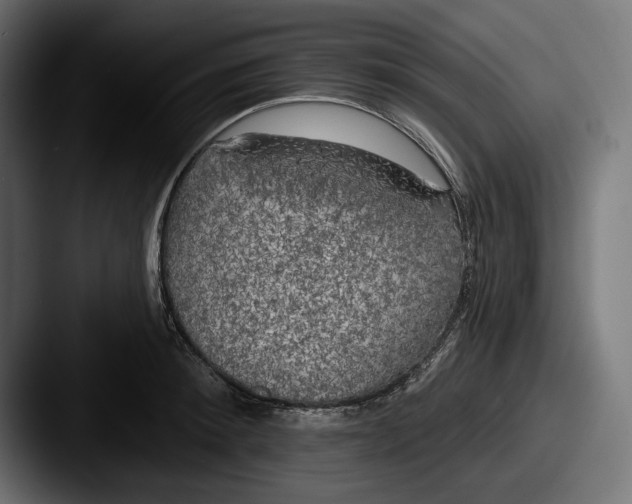 X0000087510900200705180952