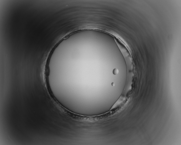 X0000087510901200705180952