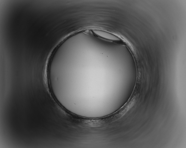 X0000087510902200705180952