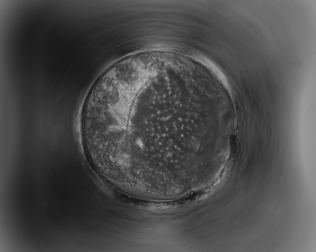 X0000087510907200705180952