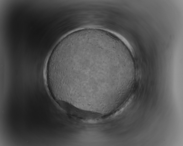 X0000087510911200705180952