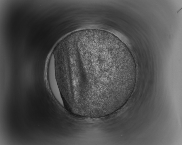 X0000087510912200705180952