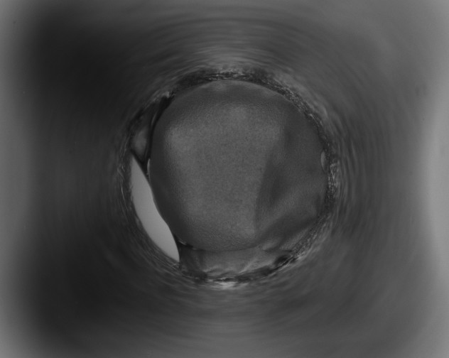 X0000087510916200705180951