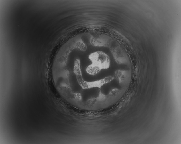 X0000087510917200705180951