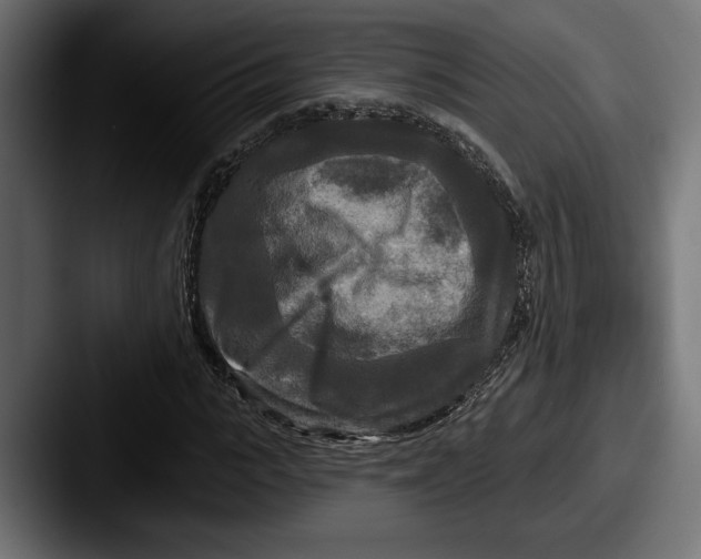 X0000087510919200705180951