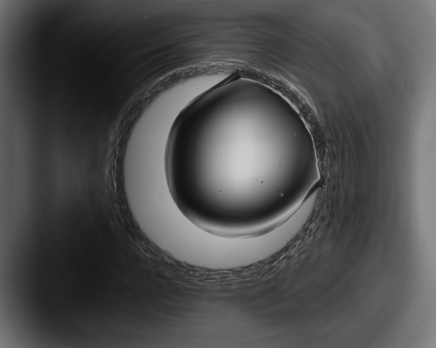 X0000087510920200705180951