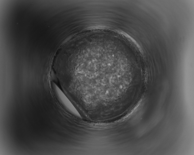 X0000087510921200705180951