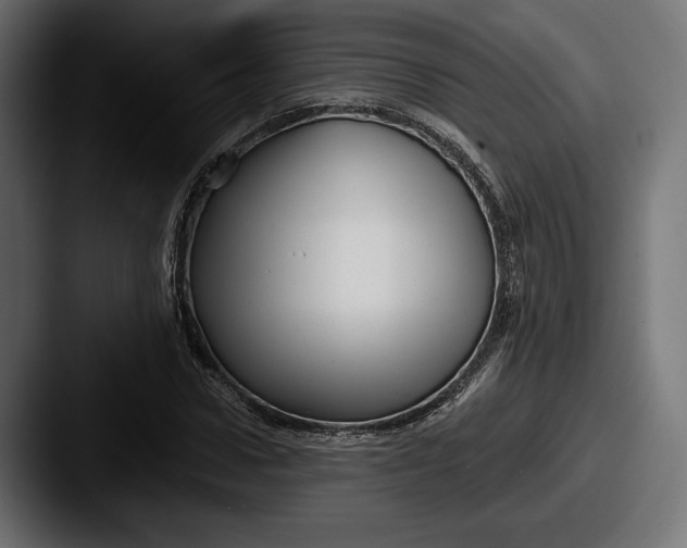 X0000087510922200705180951