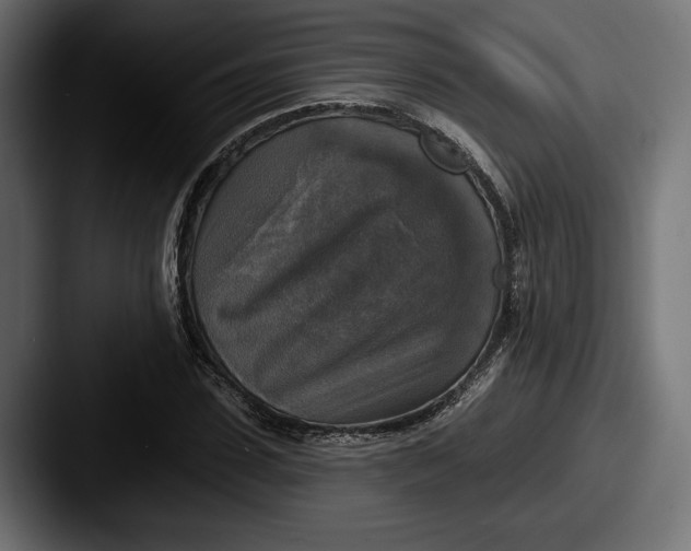 X0000087510923200705180951