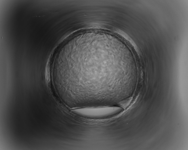 X0000087510925200705180952
