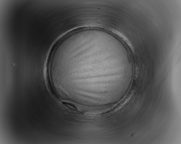 X0000087510928200705180952