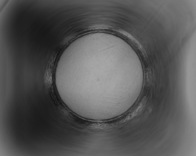 X0000087510929200705180952