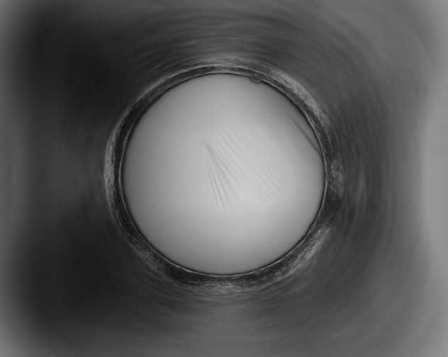 X0000087510931200705180952