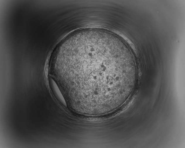 X0000087510933200705180952