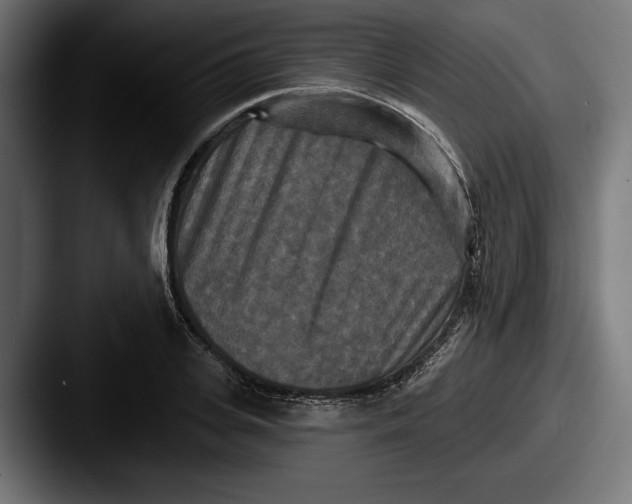 X0000087510935200705180952
