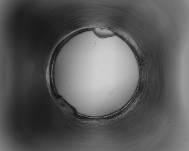 X0000087510936200705180952