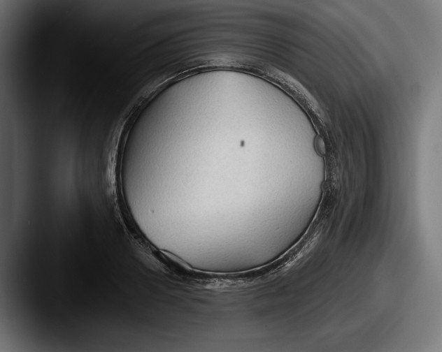X0000087510938200705180952