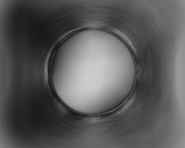 X0000087510939200705180952