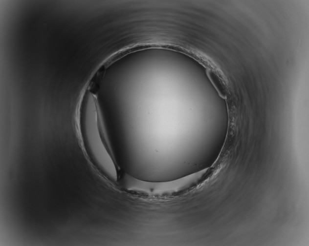 X0000087510942200705180952