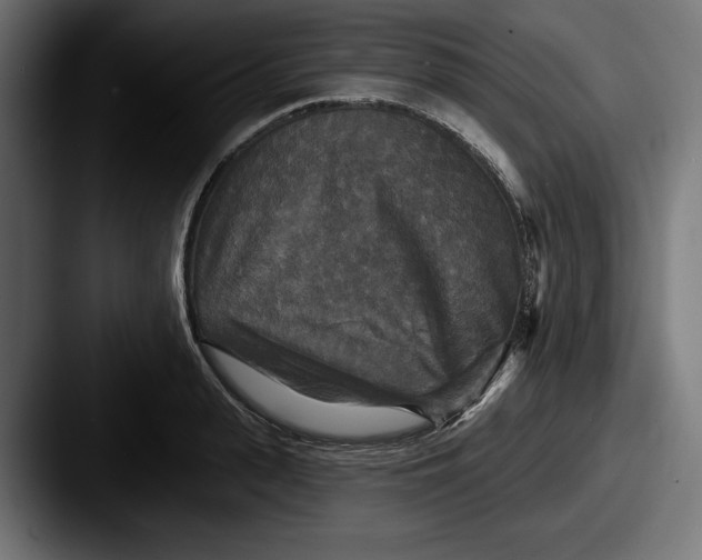 X0000087510943200705180952