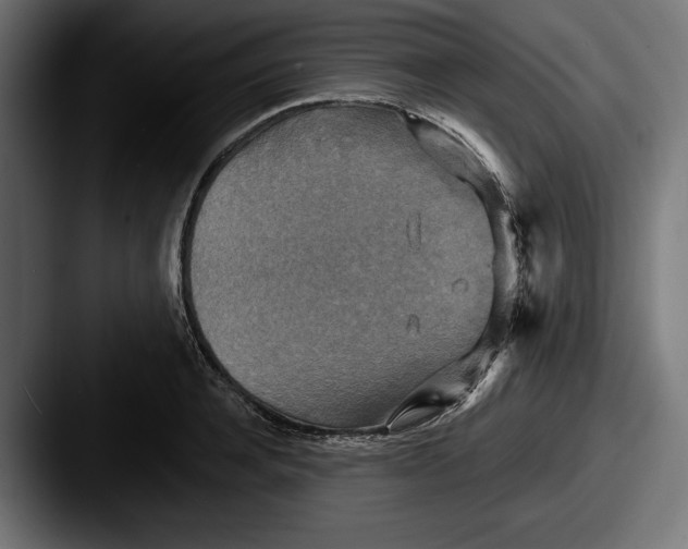 X0000087510944200705180952