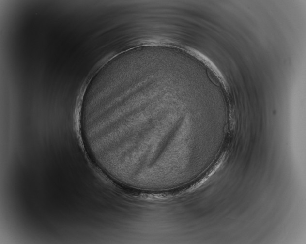X0000087510946200705180952