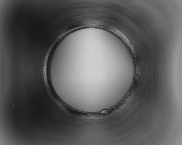 X0000087510947200705180952