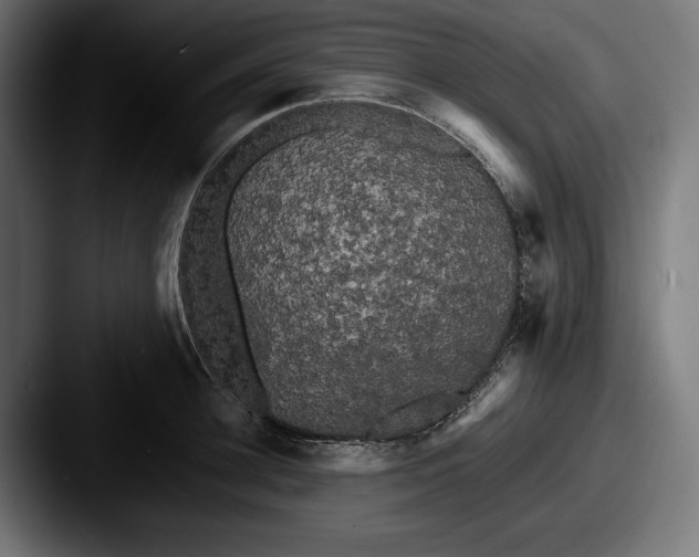 X0000087510948200705180952