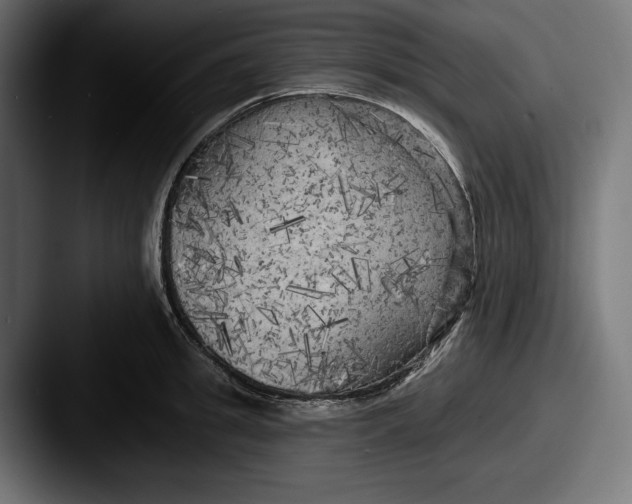 X0000087510949200705180952