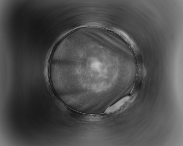 X0000087510952200705180952