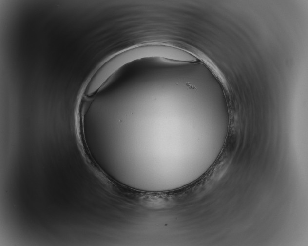 X0000087510955200705180952
