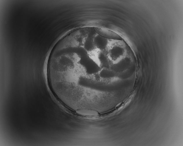 X0000087510957200705180952