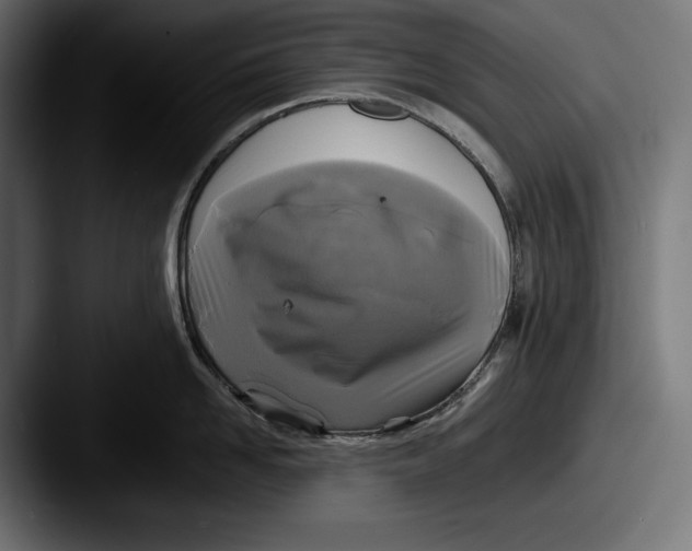 X0000087510958200705180952