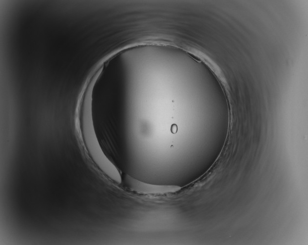 X0000087510960200705180952