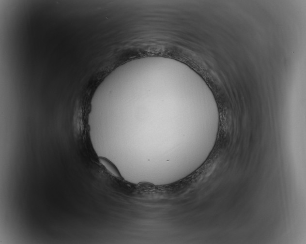 X0000087510962200705180951