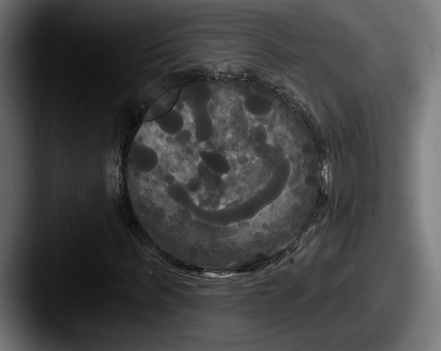 X0000087510963200705180951