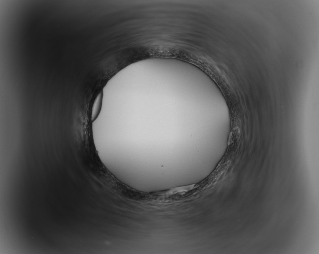 X0000087510964200705180951