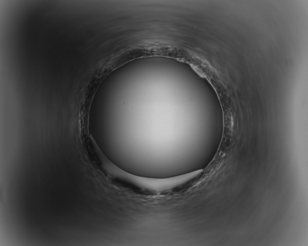 X0000087510965200705180951
