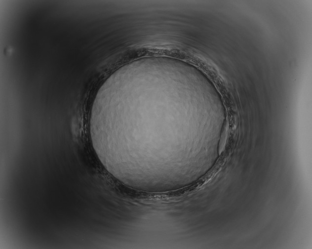 X0000087510966200705180951