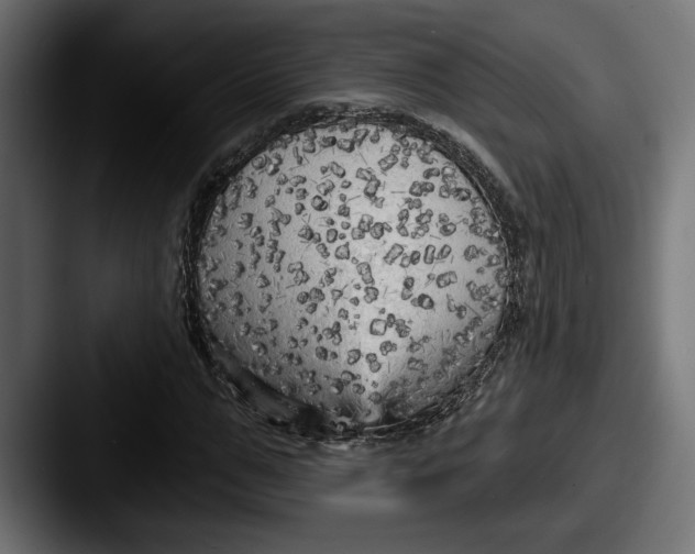 X0000087510967200705180951