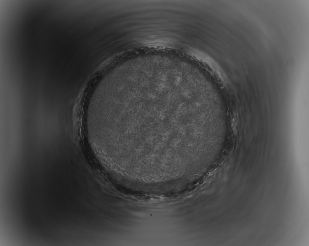 X0000087510968200705180951