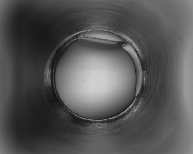 X0000087510973200705180951